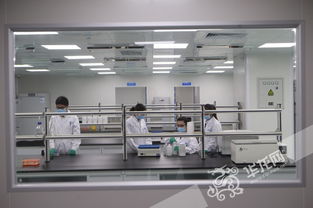 重庆精准生物研发及转化基地启动运营 未来产值或上千亿
